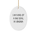 Funny Virginia Oval Ornament Gifts from Friends for Christmas, I Am Kind Of A Prime Selection In Virginia - Image 1
