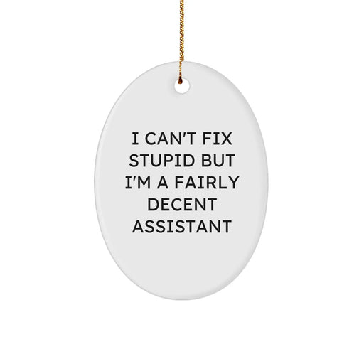 Funny Assistant Gifts from Friends - Oval Ornament - I Can't Fix Stupid But I'm A Fairly Decent Assistant - Image 1