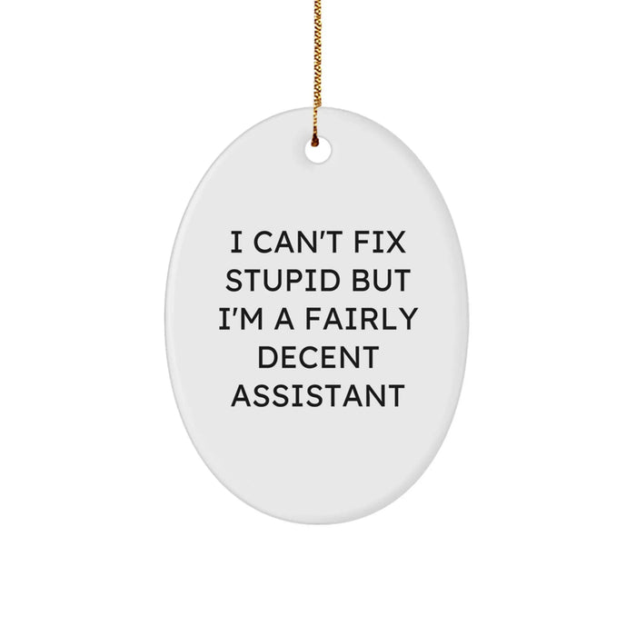 Funny Assistant Gifts from Friends - Oval Ornament - I Can't Fix Stupid But I'm A Fairly Decent Assistant - Image 1