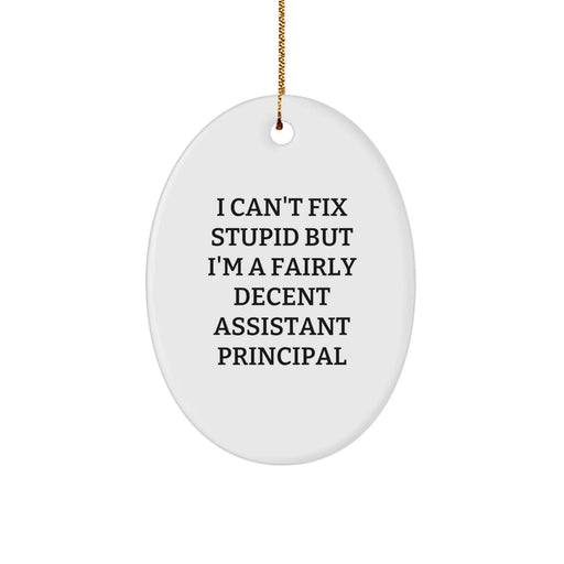 Funny Christmas Unique Gifts for Assistant Principals - Oval Ornament, I Can't Fix Stupid But I'm A Fairly Decent Assistant Principal, Gifts from Friends - Image 1