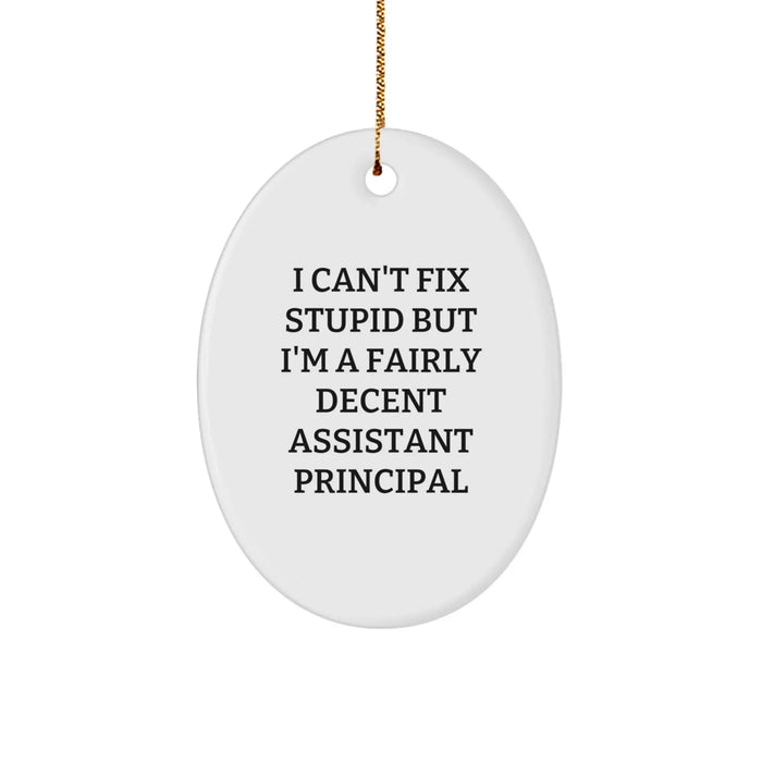 Funny Christmas Unique Gifts for Assistant Principals - Oval Ornament, I Can't Fix Stupid But I'm A Fairly Decent Assistant Principal, Gifts from Friends - Image 1