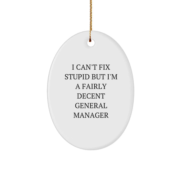 Funny General Manager Christmas Decorations Oval Ornament Gifts from Family to General Manager - I Can't Fix Stupid - Image 1