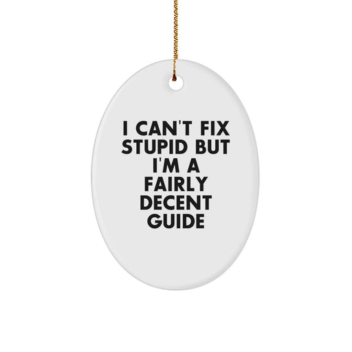 A Funny Guide Gift for Him or Her - Oval Ornament, Christmas Unique Gifts from Friends and Family - Image 1