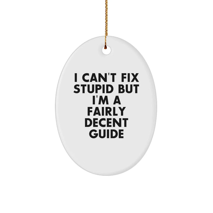 A Funny Guide Gift for Him or Her - Oval Ornament, Christmas Unique Gifts from Friends and Family - Image 1