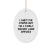 Funny Loan Officer Gifts for Coworkers, 'I Can't Fix Stupid But I'm A Fairly Decent Loan Officer', Oval Ornament for Loan Officer, Christmas Unique Gifts from Friends - Image 1