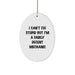 Funny Mechanic Gifts for Friends - Oval Ornament with I Can't Fix Stupid Decent Mechanic Quote, Christmas Unique Presents for Men Women Family - Image 1