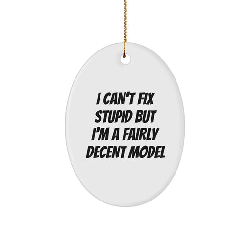 Funny Model Oval Ornaments Gifts from Friends and Family for Men and Women - 'I Can't Fix Stupid But I'm A Fairly Decent Model' Oval Decorations - Image 1