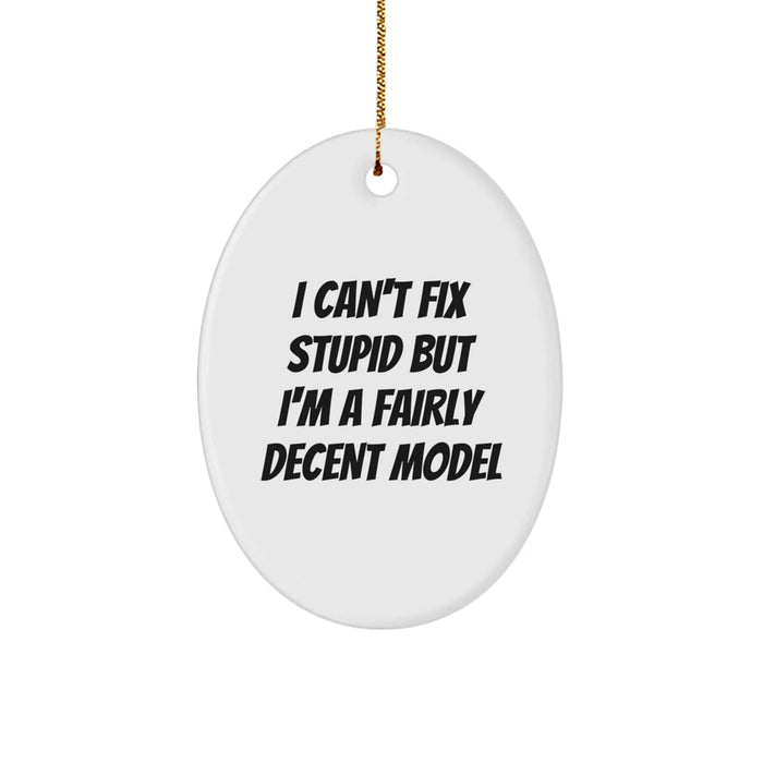 Funny Model Oval Ornaments Gifts from Friends and Family for Men and Women - 'I Can't Fix Stupid But I'm A Fairly Decent Model' Oval Decorations - Image 1