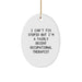 Funny Occupational Therapist Gifts, Oval Ornament for Christmas Unique Gifts from Friends or Family to Occupational Therapist, 'I'm A Fairly Decent' - Image 1