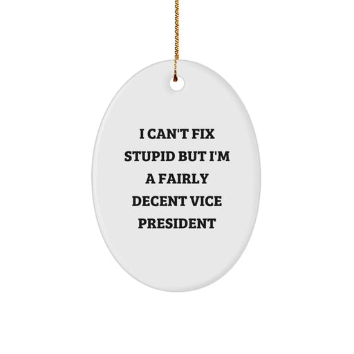 Funny Vice President Oval Ornament Gifts from Coworkers - I Can't Fix Stupid But I'm A Fairly Decent Leader, Vice President Christmas Unique Gifts for Him - Image 1
