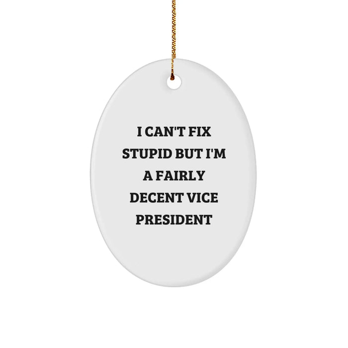 Funny Vice President Oval Ornament Gifts from Coworkers - I Can't Fix Stupid But I'm A Fairly Decent Leader, Vice President Christmas Unique Gifts for Him - Image 1