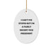 Funny Vice President Oval Ornament Gifts from Coworkers - I Can't Fix Stupid But I'm A Fairly Decent Leader, Vice President Christmas Unique Gifts for Him - Image 1