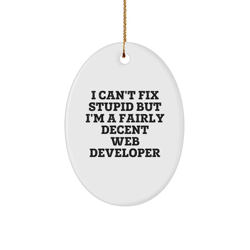 Funny Web Developer Gifts for Men - Web Developer Oval Ornament, Gifts from Friends, I Can't Fix Stupid But I'm A Fairly Decent Web Developer Christmas Unique Gifts for Web Developers - Image 1