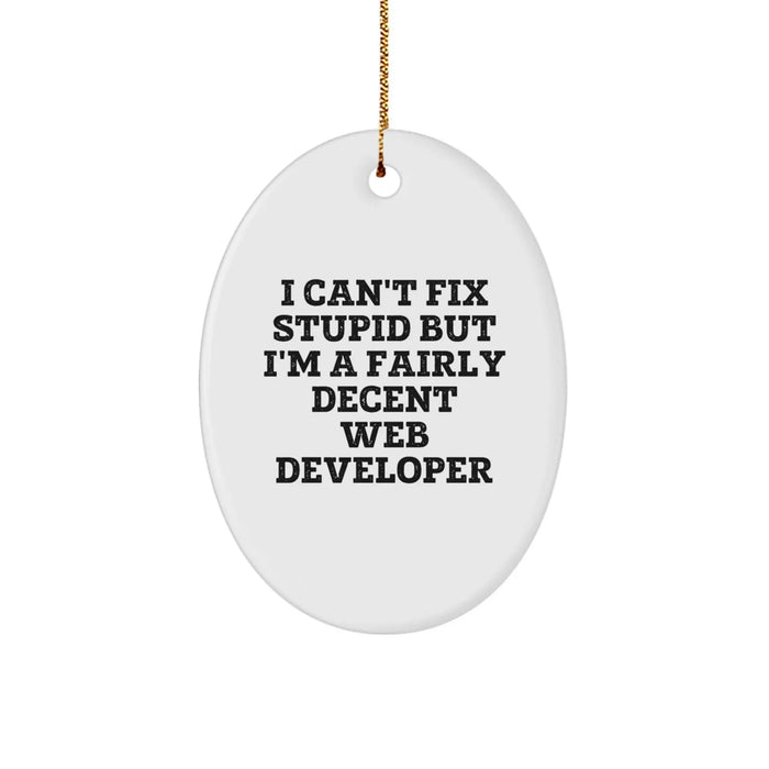 Funny Web Developer Gifts for Men - Web Developer Oval Ornament, Gifts from Friends, I Can't Fix Stupid But I'm A Fairly Decent Web Developer Christmas Unique Gifts for Web Developers - Image 1