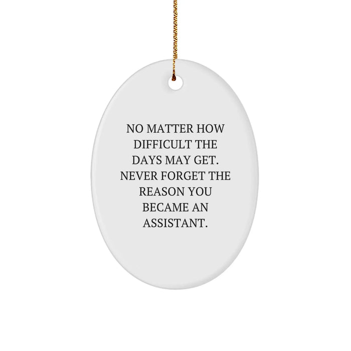 Funny Assistant Oval Ornament Gifts from Friends to Assistants - Unique Christmas Unique Gifts for Assistants - Oval Shape Decorations with Inspirational Quote - Image 1