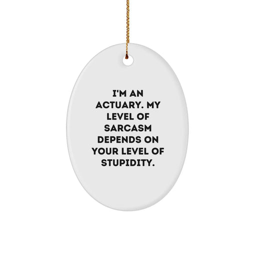 Funny Actuary Gifts for Men Friends Colleagues - Oval Ornament with I'm An Actuary. My Level Of Sarcasm Depends On Your Level Of Stupidity. Quote, Christmas Unique Gifts from Friends and Family - Image 1