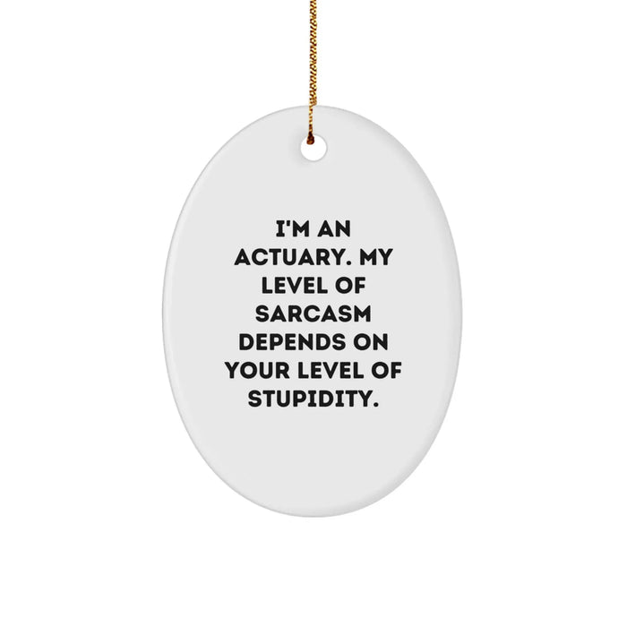 Funny Actuary Gifts for Men Friends Colleagues - Oval Ornament with I'm An Actuary. My Level Of Sarcasm Depends On Your Level Of Stupidity. Quote, Christmas Unique Gifts from Friends and Family - Image 1
