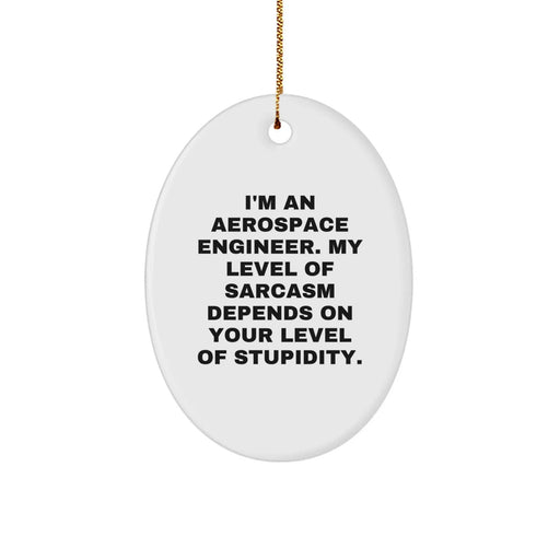Funny Aerospace Engineer Gifts from Friends, Unique Oval Ornament for Men, Women, and Coworkers, Christmas - Image 1