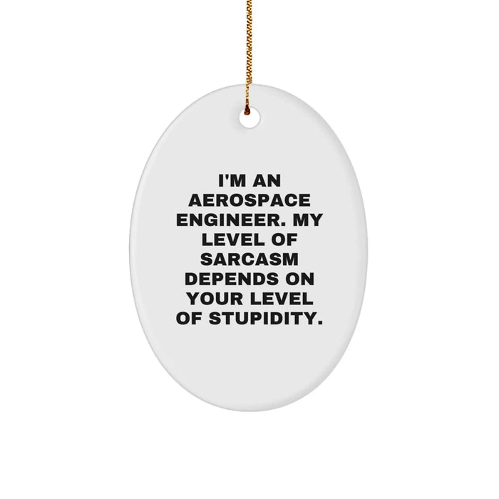 Funny Aerospace Engineer Gifts from Friends, Unique Oval Ornament for Men, Women, and Coworkers, Christmas - Image 1