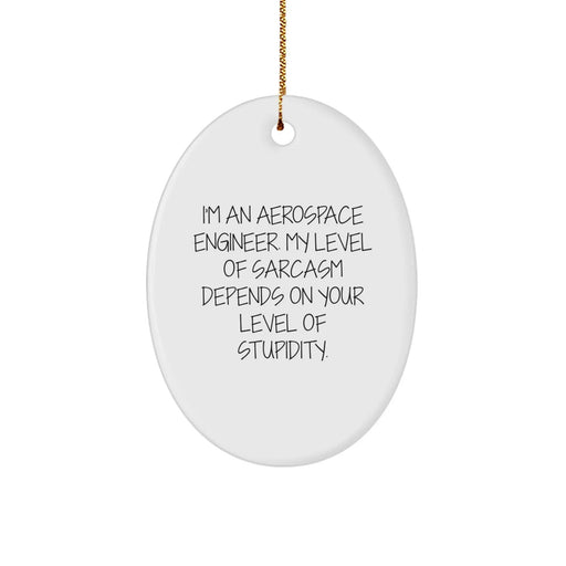 Funny Aerospace Engineer Gifts from Men for Christmas Unique Oval Ornament - Oval Shaped Ornament with Sarcasm Humor - Image 1