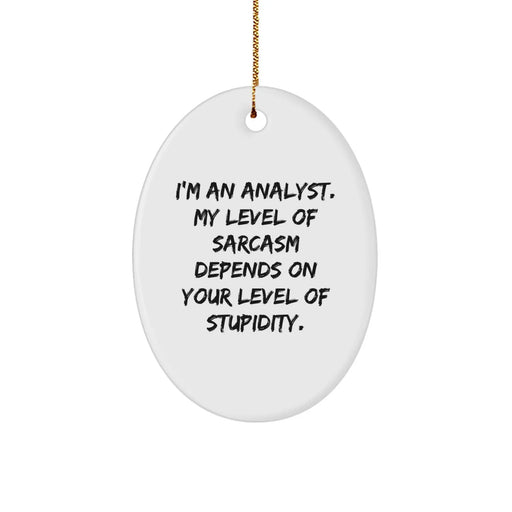 Funny Analyst Gifts for Men from I'm An Analyst Oval Ornament Christmas Unique Ideas - Image 1