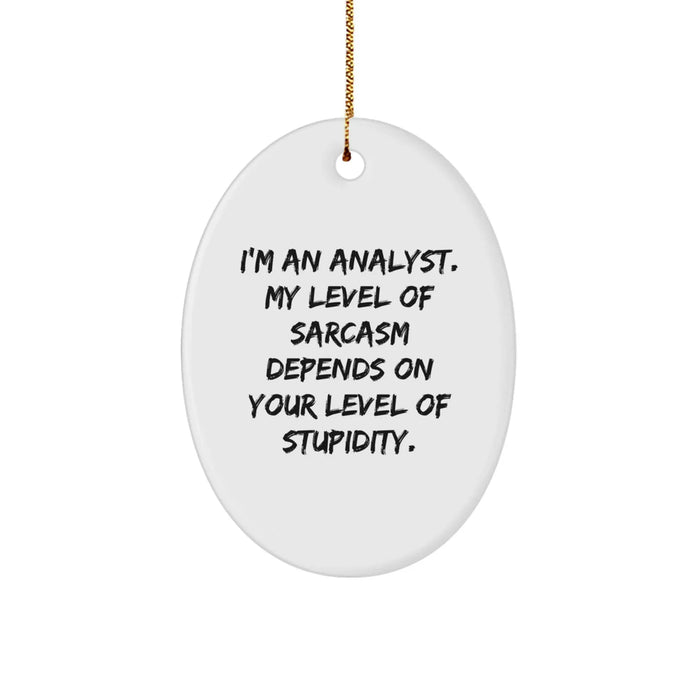 Funny Analyst Gifts for Men from I'm An Analyst Oval Ornament Christmas Unique Ideas - Image 1