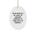 Funny Analyst Gifts for Men from I'm An Analyst Oval Ornament Christmas Unique Ideas - Image 1