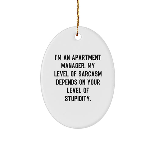 Funny Apartment Manager Gifts from Friends - Oval Ornament for Christmas Unique Gifts - I'm An Apartment Manager My Level Of Sarcasm Depends On Your Level Of Stupidity - Image 1