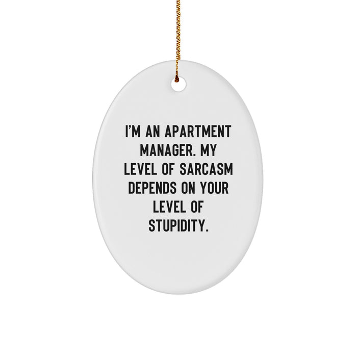 Funny Apartment Manager Gifts from Friends - Oval Ornament for Christmas Unique Gifts - I'm An Apartment Manager My Level Of Sarcasm Depends On Your Level Of Stupidity - Image 1