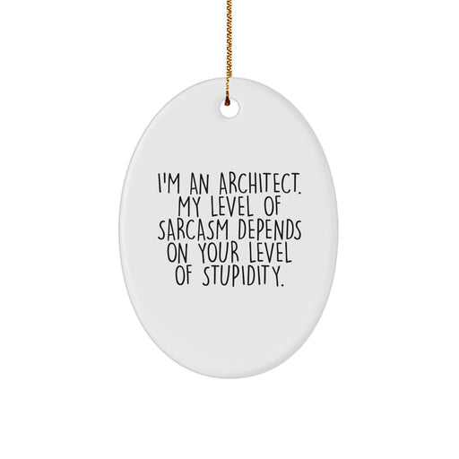 Funny Architect Gifts, Oval Ornament Christmas Unique for Men, Women, Coworkers, Family - I'm An Architect Quote Decorative - Image 1
