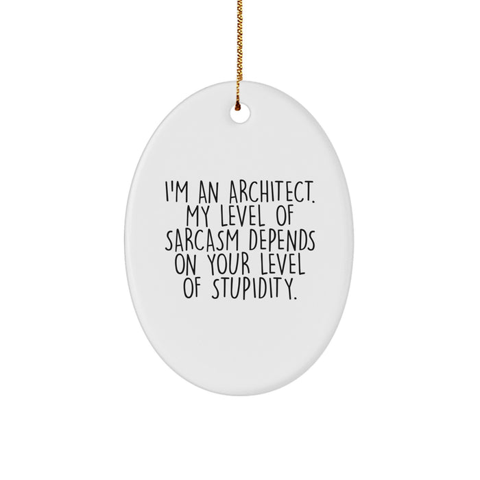 Funny Architect Gifts, Oval Ornament Christmas Unique for Men, Women, Coworkers, Family - I'm An Architect Quote Decorative - Image 1