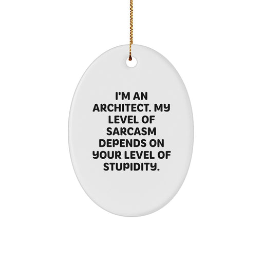 Funny Architect Oval Ornament Gifts from Friends, Men, Women and Family for Christmas Unique Presents - Image 1