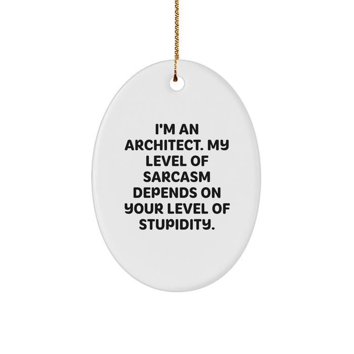 Funny Architect Oval Ornament Gifts from Friends, Men, Women and Family for Christmas Unique Presents - Image 1
