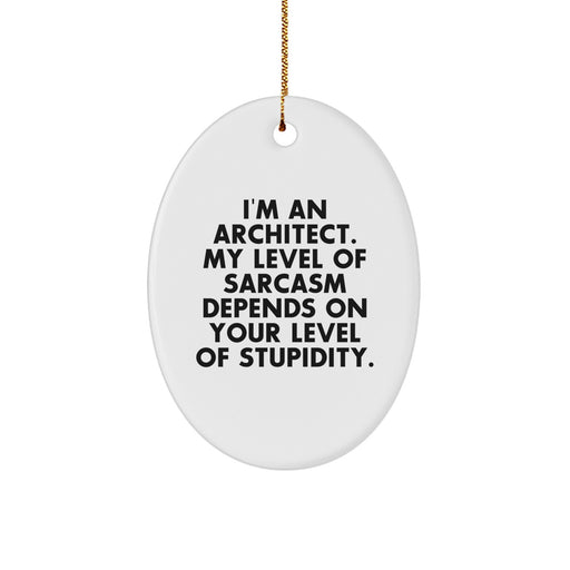 Funny Architect Oval Ornament Gifts from Friends for Men, Women, Coworkers, Family, Christmas Unique Presents - Image 1