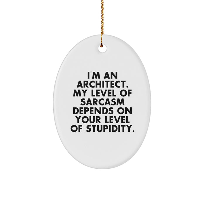 Funny Architect Oval Ornament Gifts from Friends for Men, Women, Coworkers, Family, Christmas Unique Presents - Image 1