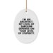 Funny Architect Oval Ornament Gifts from Friends for Men, Women, Coworkers, Family, Christmas Unique Presents - Image 1
