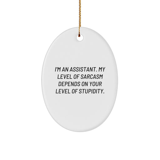 Funny Assistant Oval Ornament Gift from Friends for Assistant, Oval Ornament with Sarcasm Quote, Unique Christmas Unique Gifts for Assistant - Image 1