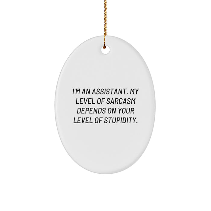 Funny Assistant Oval Ornament Gift from Friends for Assistant, Oval Ornament with Sarcasm Quote, Unique Christmas Unique Gifts for Assistant - Image 1