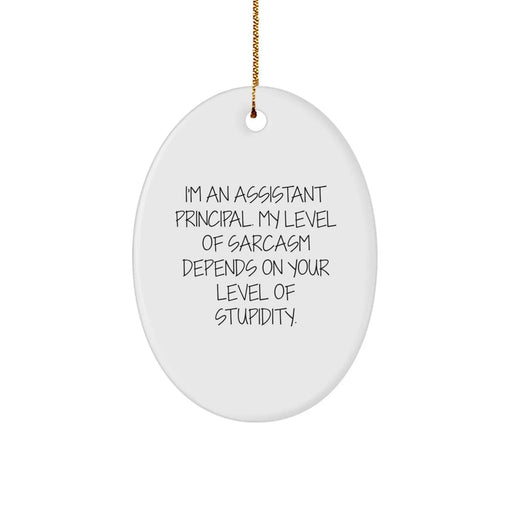 Funny Assistant Principal Gifts for Men - Oval Ornament, Sarcasm Humor, Christmas Unique Presents from Friends to Assistant Principals - Image 1
