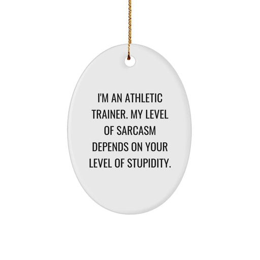 Funny Athletic Trainer Gifts from Friends, Oval Ornament for Men, Women, or Coworkers Christmas Unique Ideas - Image 1