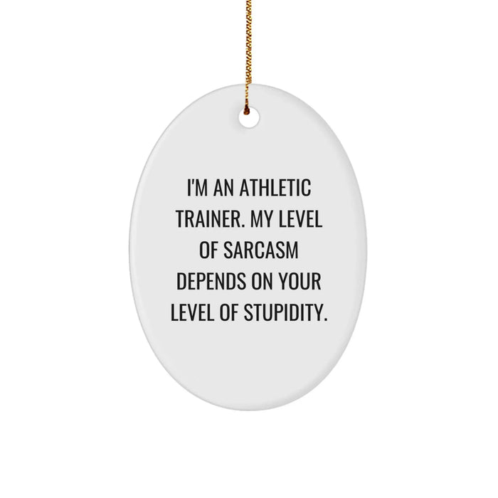 Funny Athletic Trainer Gifts from Friends, Oval Ornament for Men, Women, or Coworkers Christmas Unique Ideas - Image 1
