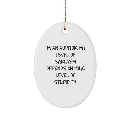 Funny Auditor Oval Ornament Gifts from Men for Christmas Unique Presents - Image 1
