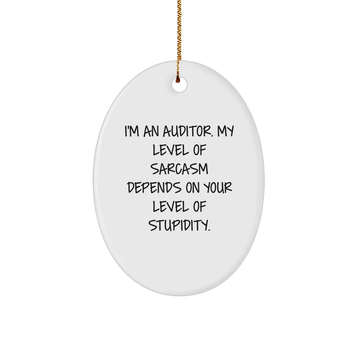 Funny Auditor Oval Ornament Gifts from Men for Christmas Unique Presents - Image 1