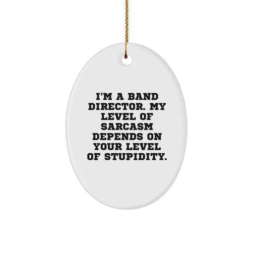 Funny Band Director Gifts from Friends - Oval Ornament for Band Director Men, Cute Sarcasm Christmas Unique Gifts for Band Director Family - I'm A Band Director - Image 1