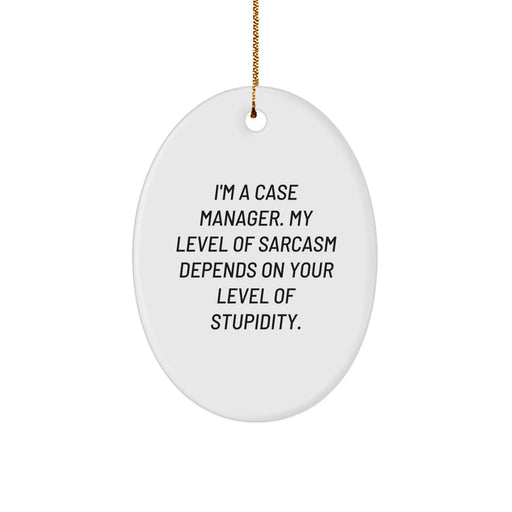 Funny Case Manager Gifts from Friends for Christmas Unique Oval Ornament, Oval Shaped Case Manager Decoration with Sarcasm Humor - Image 1
