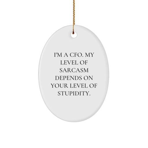 Funny CFO Gifts from Friends - Oval Ornament for Christmas Unique Gifts for CFO - I'm A Cfo. My Level Of Sarcasm Depends On Your Level Of Stupidity. - Image 1