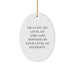 Funny CFO Gifts from Friends - Oval Ornament for Christmas Unique Gifts for CFO - I'm A Cfo. My Level Of Sarcasm Depends On Your Level Of Stupidity. - Image 1