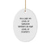 Funny Chef Oval Ornament Gifts for Men, Women, and Friends - I'm A Chef, Sarcasm Depends On Your Level Of Stupidity, Christmas Unique Gifts from Family - Image 1