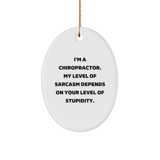 Funny Chiropractor Gifts, Oval Ornament, 'I'm A Chiropractor. My Level Of Sarcasm Depends On Your Level Of Stupidity.' - Gifts from Friends to Chiropractor at Christmas - Image 1
