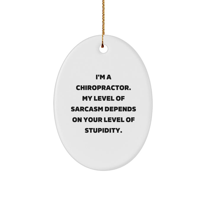Funny Chiropractor Gifts, Oval Ornament, 'I'm A Chiropractor. My Level Of Sarcasm Depends On Your Level Of Stupidity.' - Gifts from Friends to Chiropractor at Christmas - Image 1